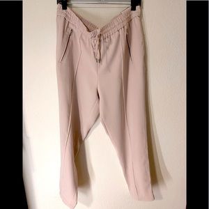 Express pink ankle pant with front seam and silver furnishing, SIze L. NWT.